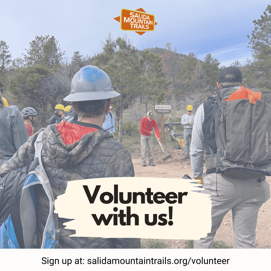 Volunteer Now
