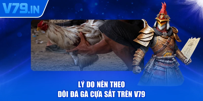 Lý do nên theo dõi đá gà cựa sắt trên V79